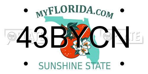 43BYCN Florida License Plate