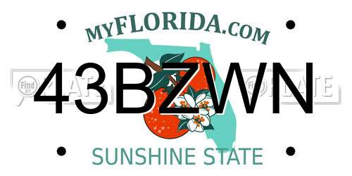 43BZWN Florida License Plate