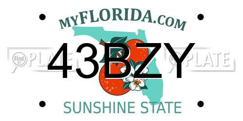 43BZY Florida License Plate