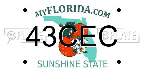 43CEC Florida License Plate