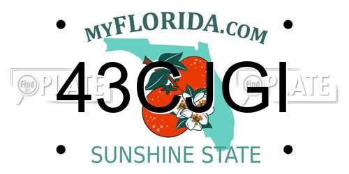 43CJGI Florida License Plate
