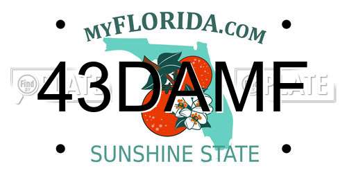 43DAMF Florida License Plate