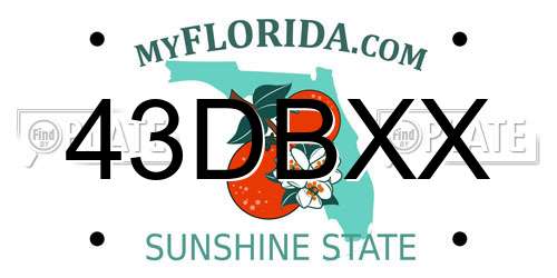 43DBXX Florida License Plate