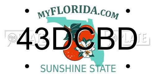 43DCBD Florida License Plate