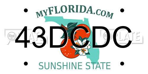 43DCDC Florida License Plate