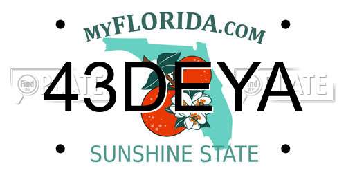 43DEYA Florida License Plate
