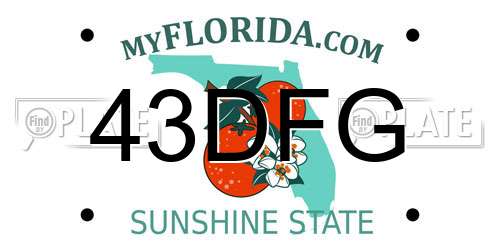 43DFG Florida License Plate