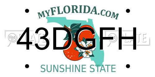 43DGFH Florida License Plate
