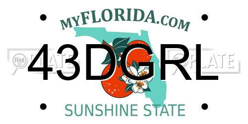 43DGRL Florida License Plate