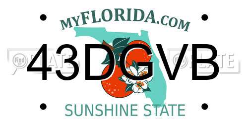 43DGVB Florida License Plate