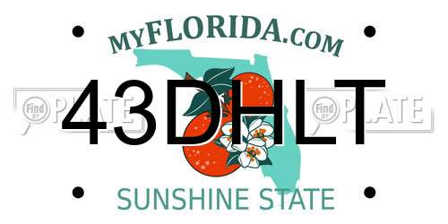 43DHLT Florida License Plate