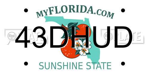 43DHUD Florida License Plate