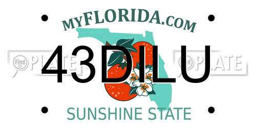 43DILU Florida License Plate