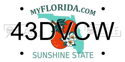 43DVCW Florida License Plate