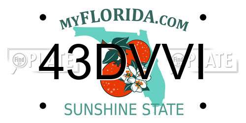 43DVVI Florida License Plate