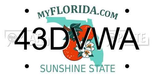 43DVWA Florida License Plate