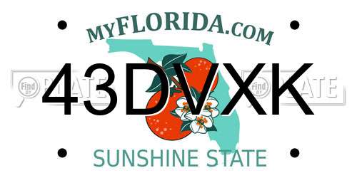 43DVXK Florida License Plate