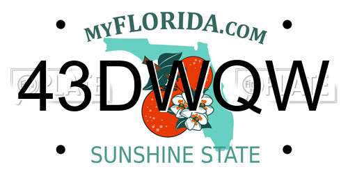 43DWQW Florida License Plate