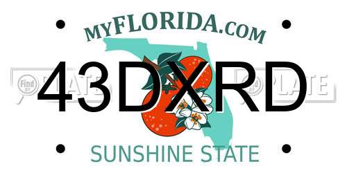 43DXRD Florida License Plate