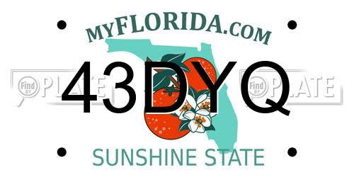 43DYQ Florida License Plate