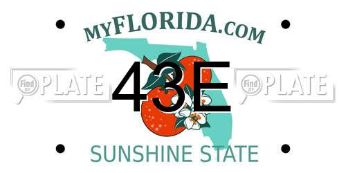 43E Florida License Plate