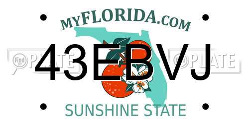 43EBVJ Florida License Plate