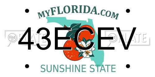 43ECEV Florida License Plate
