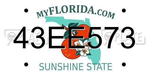 43EE573 Florida License Plate