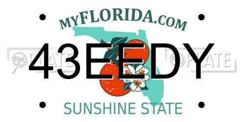43EEDY Florida License Plate