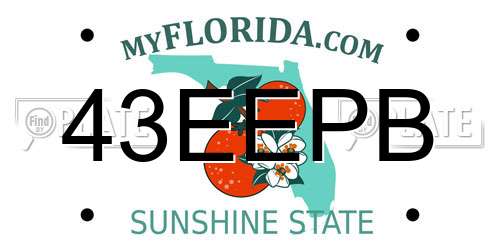 43EEPB Florida License Plate