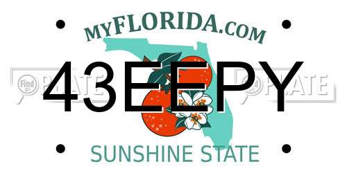 43EEPY Florida License Plate