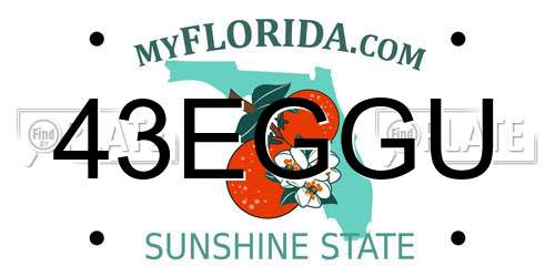 43EGGU Florida License Plate
