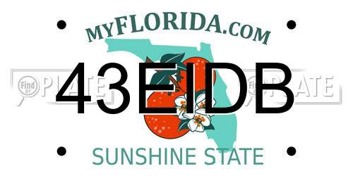 43EIDB Florida License Plate