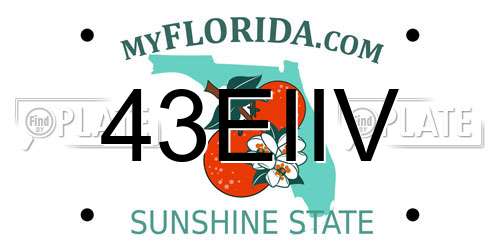 43EIIV Florida License Plate