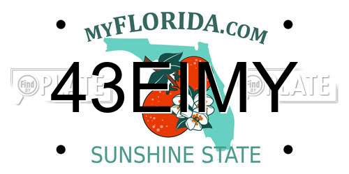 43EIMY Florida License Plate