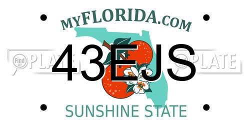 43EJS Florida License Plate