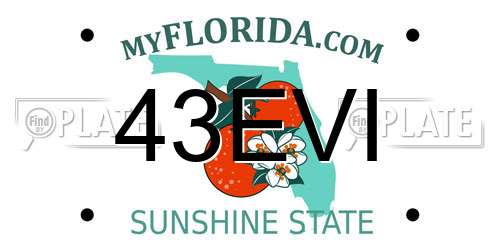 43EVI Florida License Plate