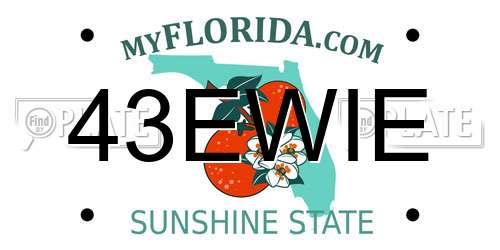 43EWIE Florida License Plate