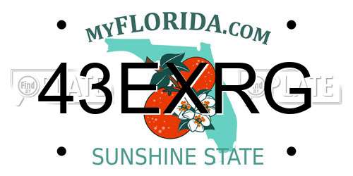 43EXRG Florida License Plate