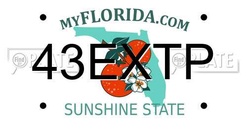 43EXTP Florida License Plate