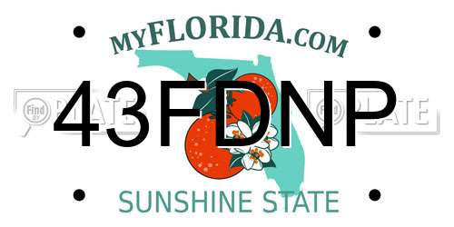 43FDNP Florida License Plate