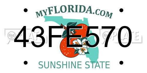 43FE570 Florida License Plate