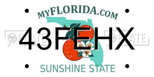 43FEHX Florida License Plate