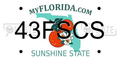 43FSCS Florida License Plate
