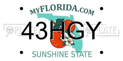 43HGY Florida License Plate