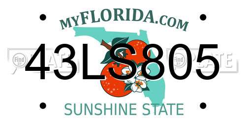 43LS805 Florida License Plate