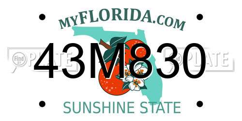 43M830 Florida License Plate