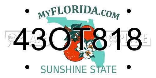 43OT818 Florida License Plate
