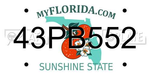 43PB552 Florida License Plate