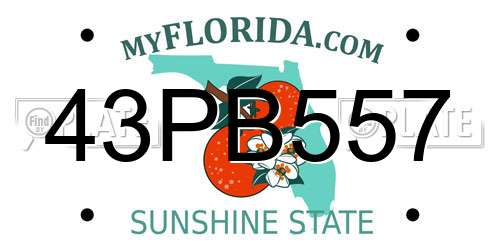 43PB557 Florida License Plate